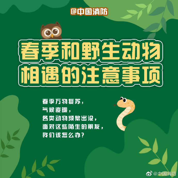 與野生動物“遭遇”怎么辦？