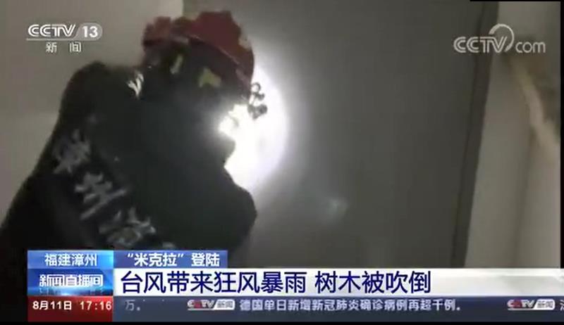 [新聞直播間]臺風帶來狂風暴雨 樹木被吹倒