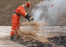 踏青、祭祀不要給山林帶“火”了 消防試驗：用火不慎 短時間可快速蔓延