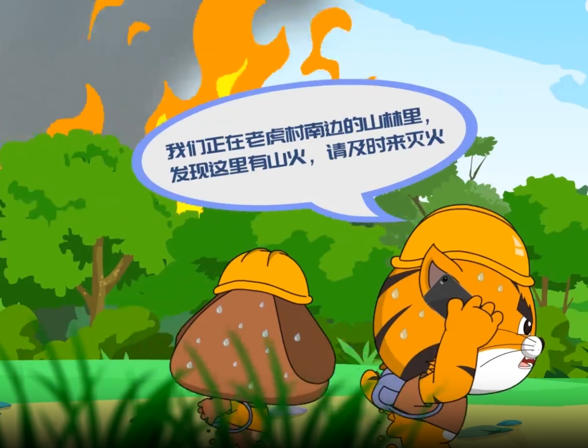 如遇森林火災(zāi)，該如何避險？