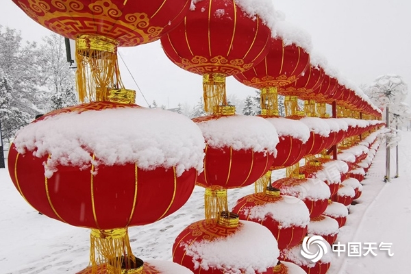 如何應對低溫、雨雪、冰凍天氣？