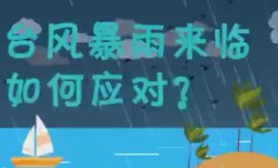 臺(tái)風(fēng)暴雨來(lái)臨如何應(yīng)對(duì)？