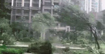 臺(tái)風(fēng)“泰利”來(lái)了！安全提醒！