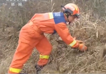 【新聞直播間】小動(dòng)物“走錯(cuò)家門” 消防緊急救助