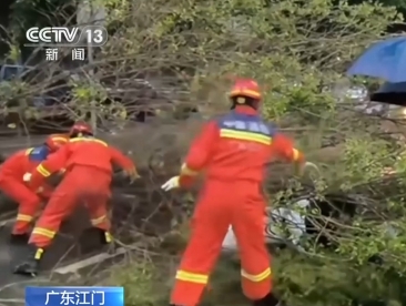 【新聞直播間】廣東江門：強(qiáng)風(fēng)吹倒大樹 消防冒雨救出被砸女子